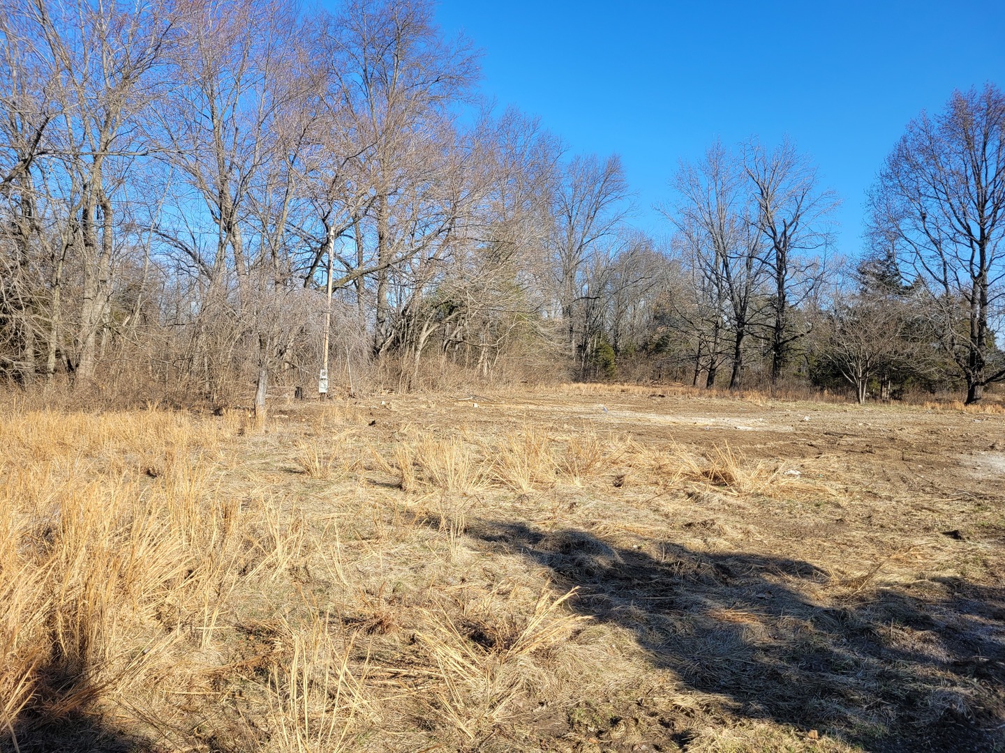 7748 Highway 148 Mount Vernon, IL 62864 - Photo 9 of 16