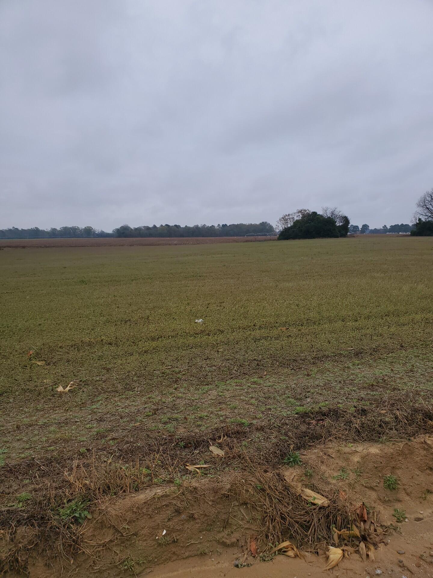 5555 Goshen Road Sumter, SC 29153 - Photo 1 of 4 thumbnail_20251208_120214