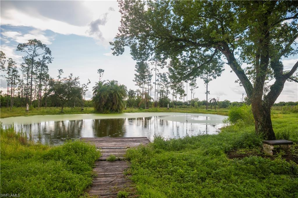 20430 Six Ls Farm Road Estero, FL 33928 - Photo 6 of 31 Gallery Image 6