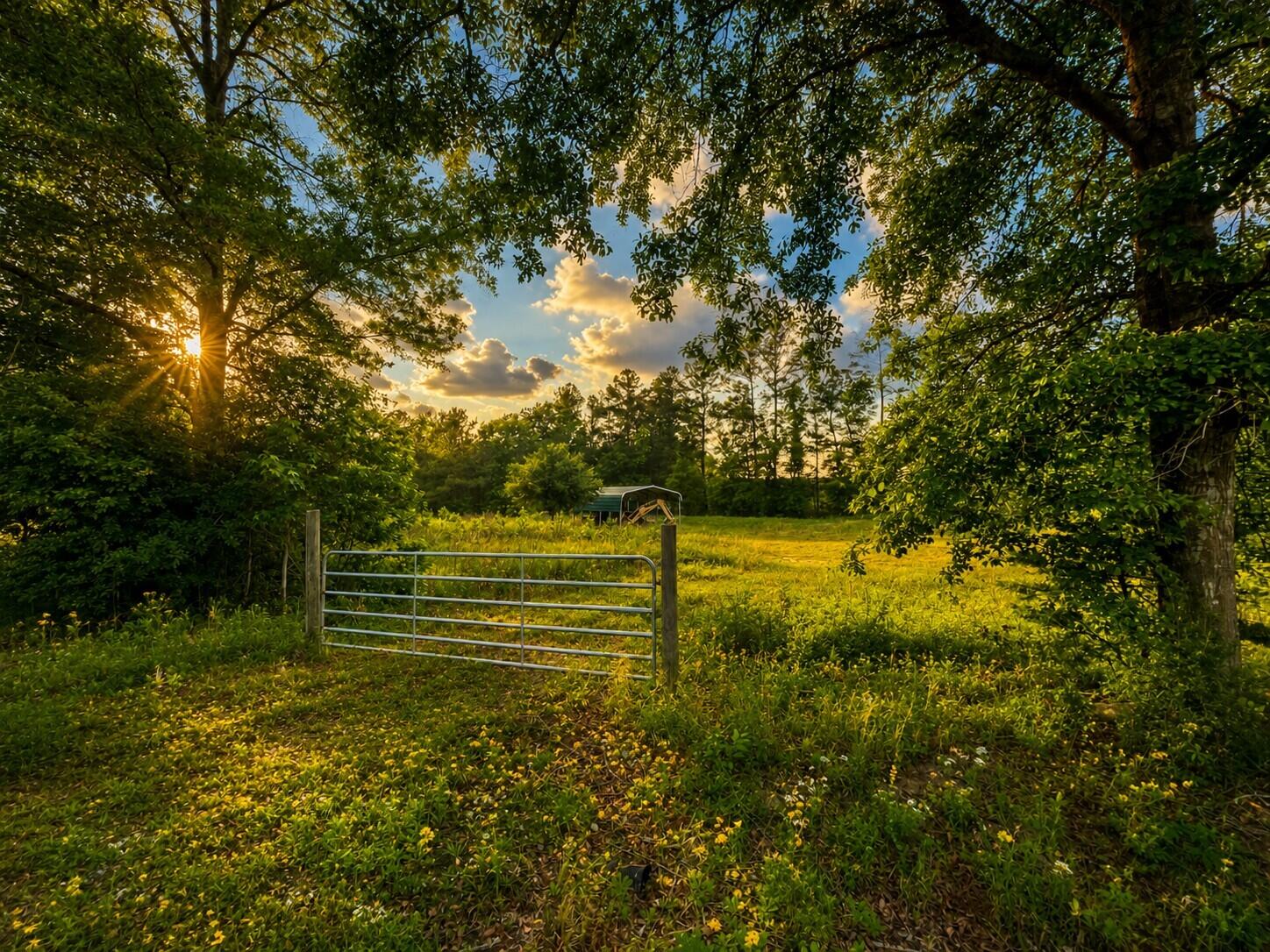 0 Fish Road Ridgeville, SC 29472 - Photo 2 of 7 2 - Copy