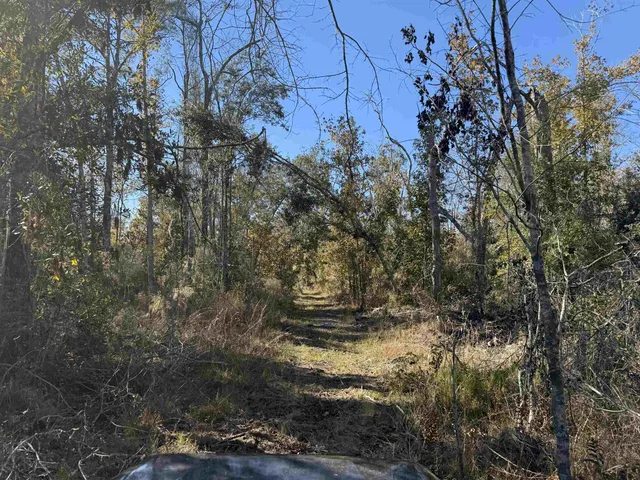 $378,000 | 651 Northwest Flowers Road, Madison, FL 32340