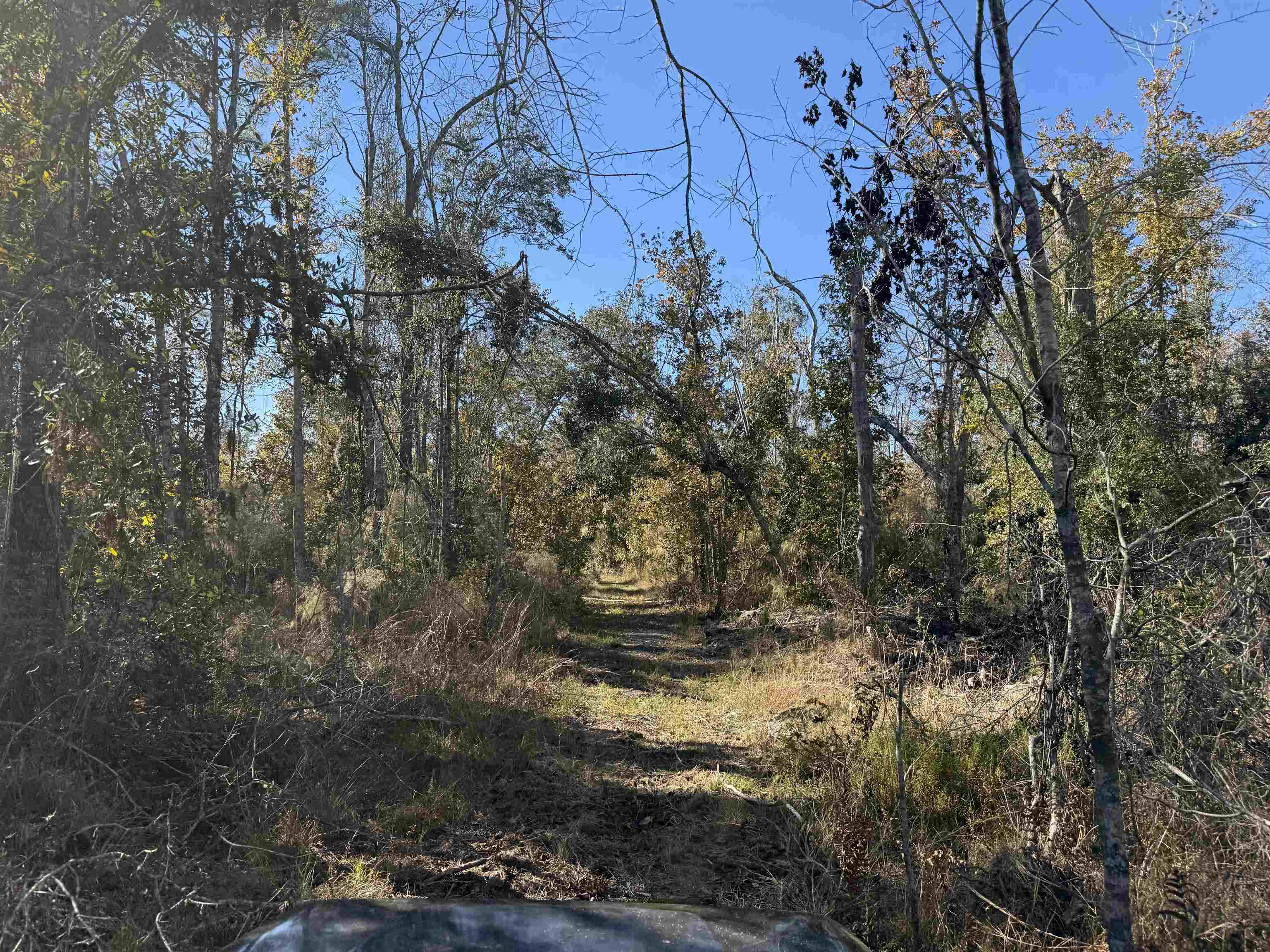 651 Northwest Flowers Road Madison, FL 32340 - Photo 11 of 20