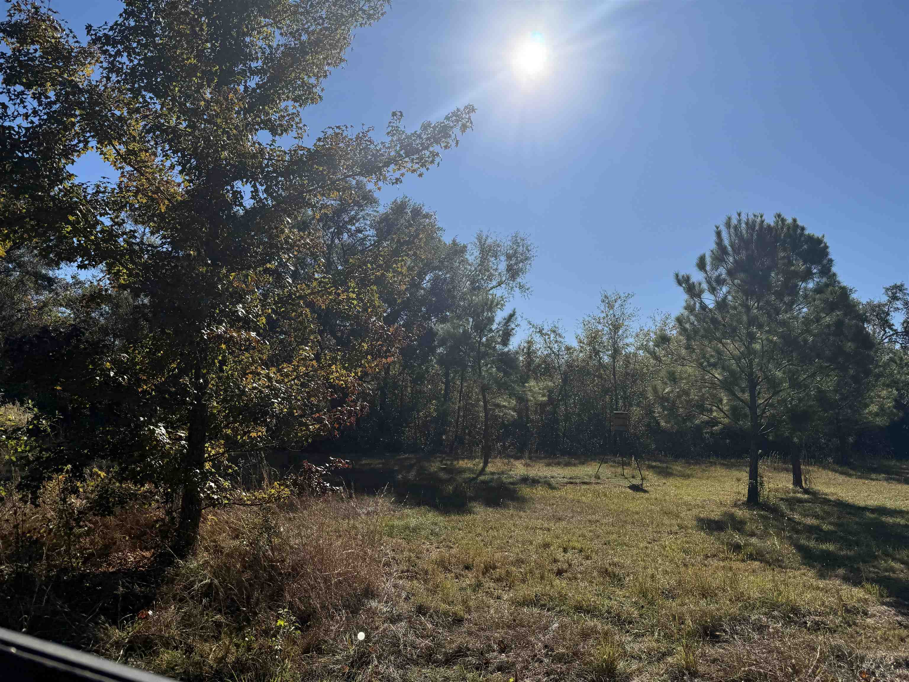 651 Northwest Flowers Road Madison, FL 32340 - Photo 12 of 20