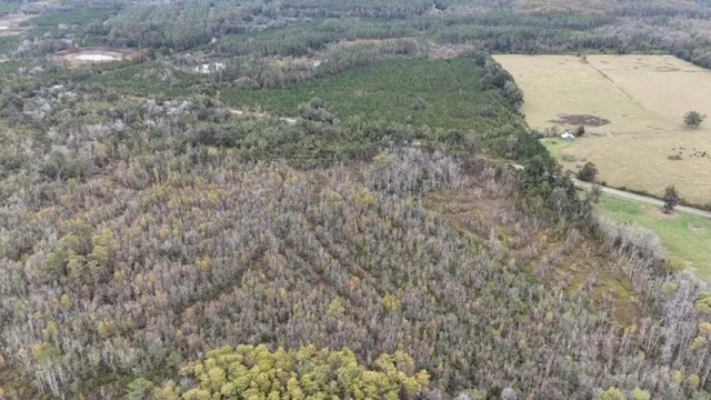 $378,000 | 651 Northwest Flowers Road, Madison, FL 32340