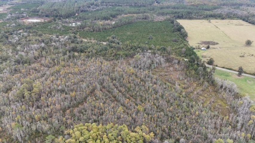 651 Northwest Flowers Road Madison, FL 32340 - Photo 15 of 20