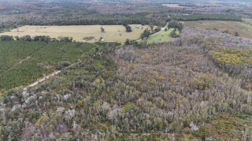 651 Northwest Flowers Road Madison, FL 32340 - Photo 16 of 20