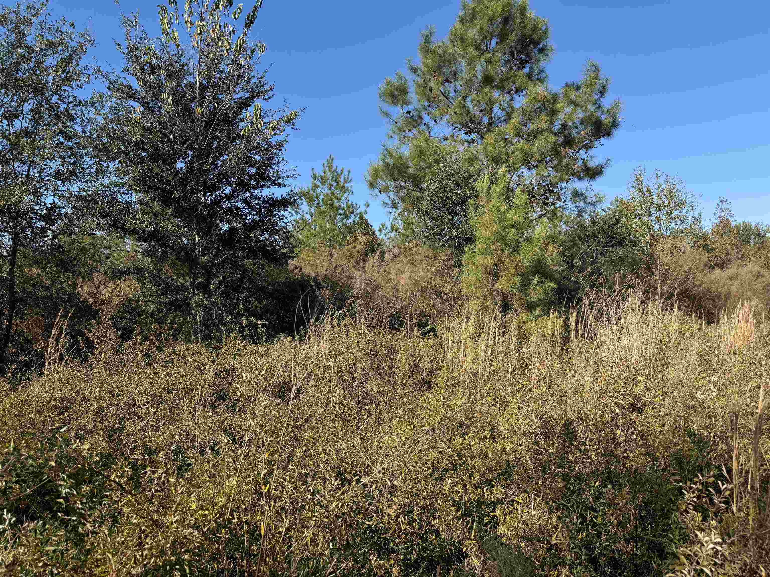 651 Northwest Flowers Road Madison, FL 32340 - Photo 16 of 20