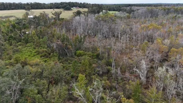 $378,000 | 651 Northwest Flowers Road, Madison, FL 32340