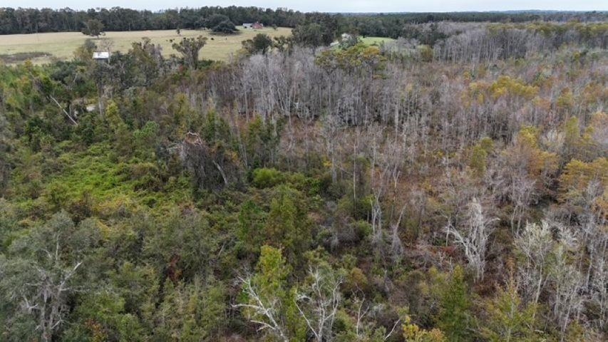 651 Northwest Flowers Road Madison, FL 32340 - Photo 18 of 20