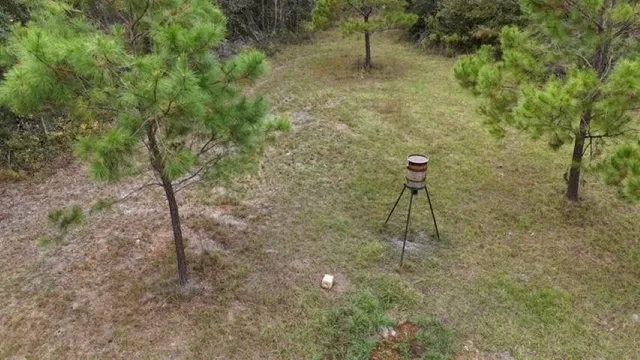 $378,000 | 651 Northwest Flowers Road, Madison, FL 32340