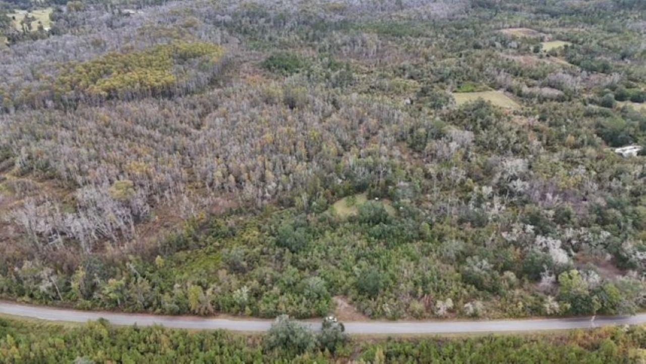 651 Northwest Flowers Road Madison, FL 32340 - Photo 2 of 20