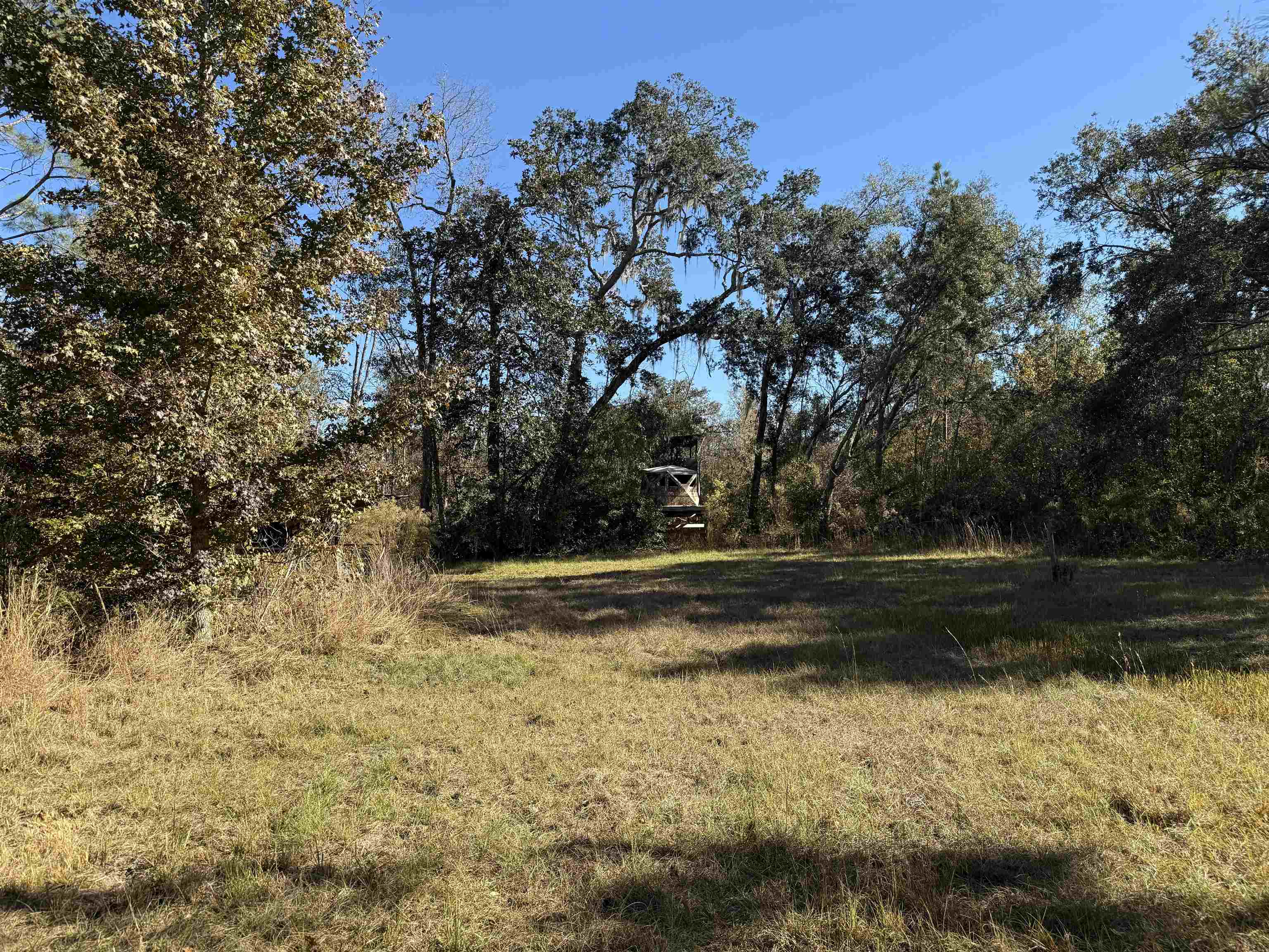 651 Northwest Flowers Road Madison, FL 32340 - Photo 4 of 20