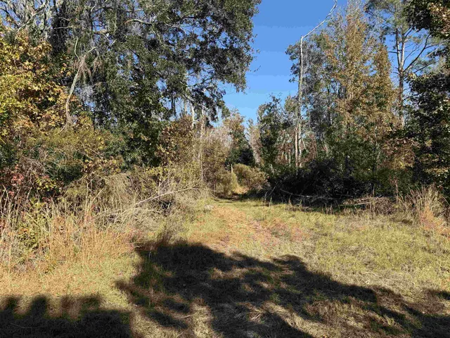 $378,000 | 651 Northwest Flowers Road, Madison, FL 32340