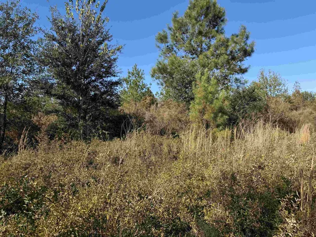 $378,000 | 651 Northwest Flowers Road, Madison, FL 32340