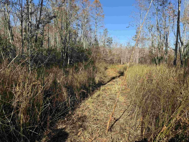 $378,000 | 651 Northwest Flowers Road, Madison, FL 32340