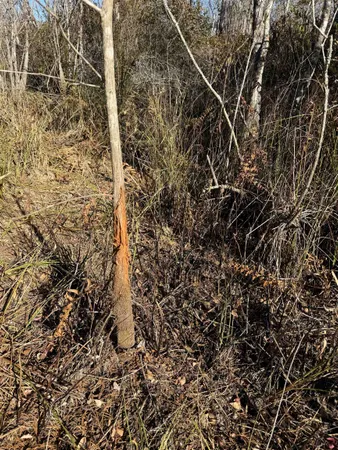 $378,000 | 651 Northwest Flowers Road, Madison, FL 32340