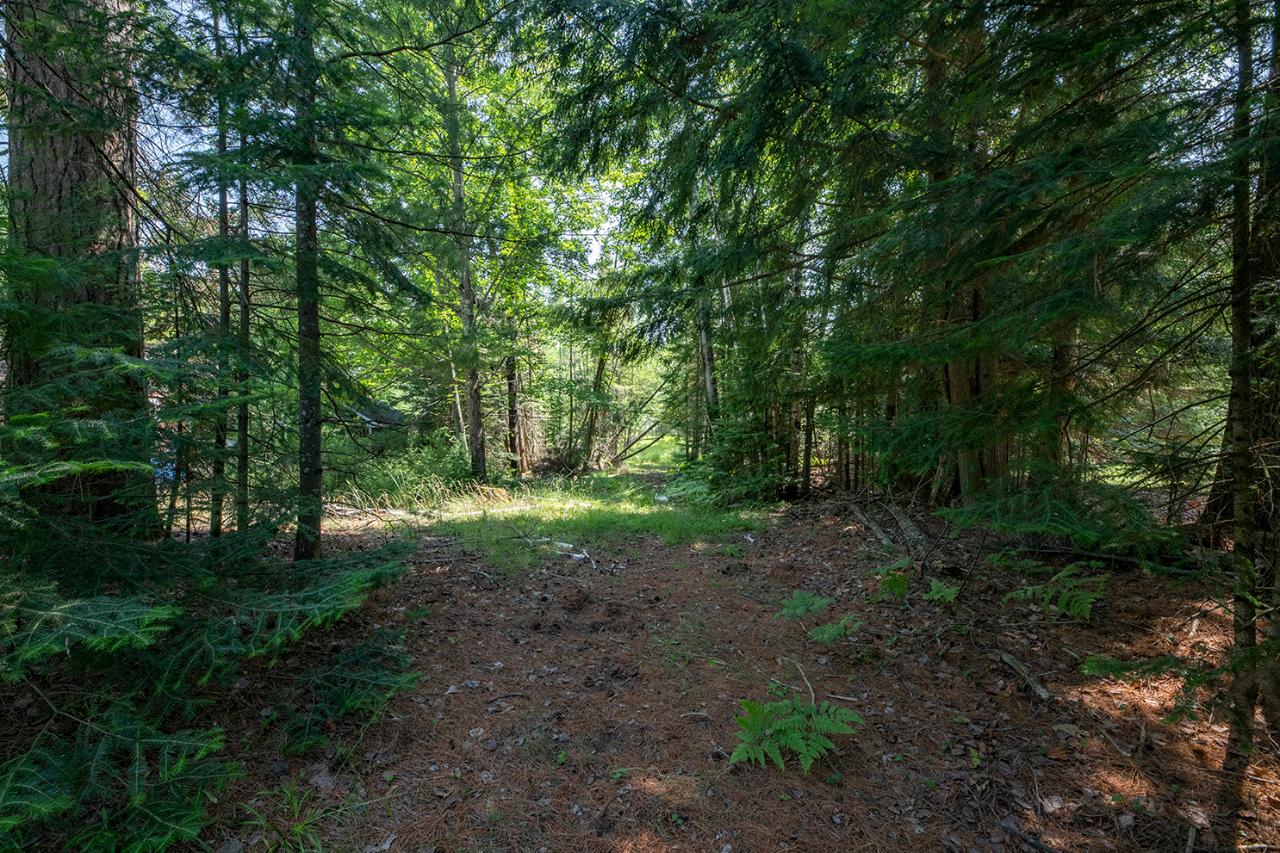 6475 Colonel Himes Road Three Lakes, WI 54562 - Photo 20 of 22 Gallery Image 20