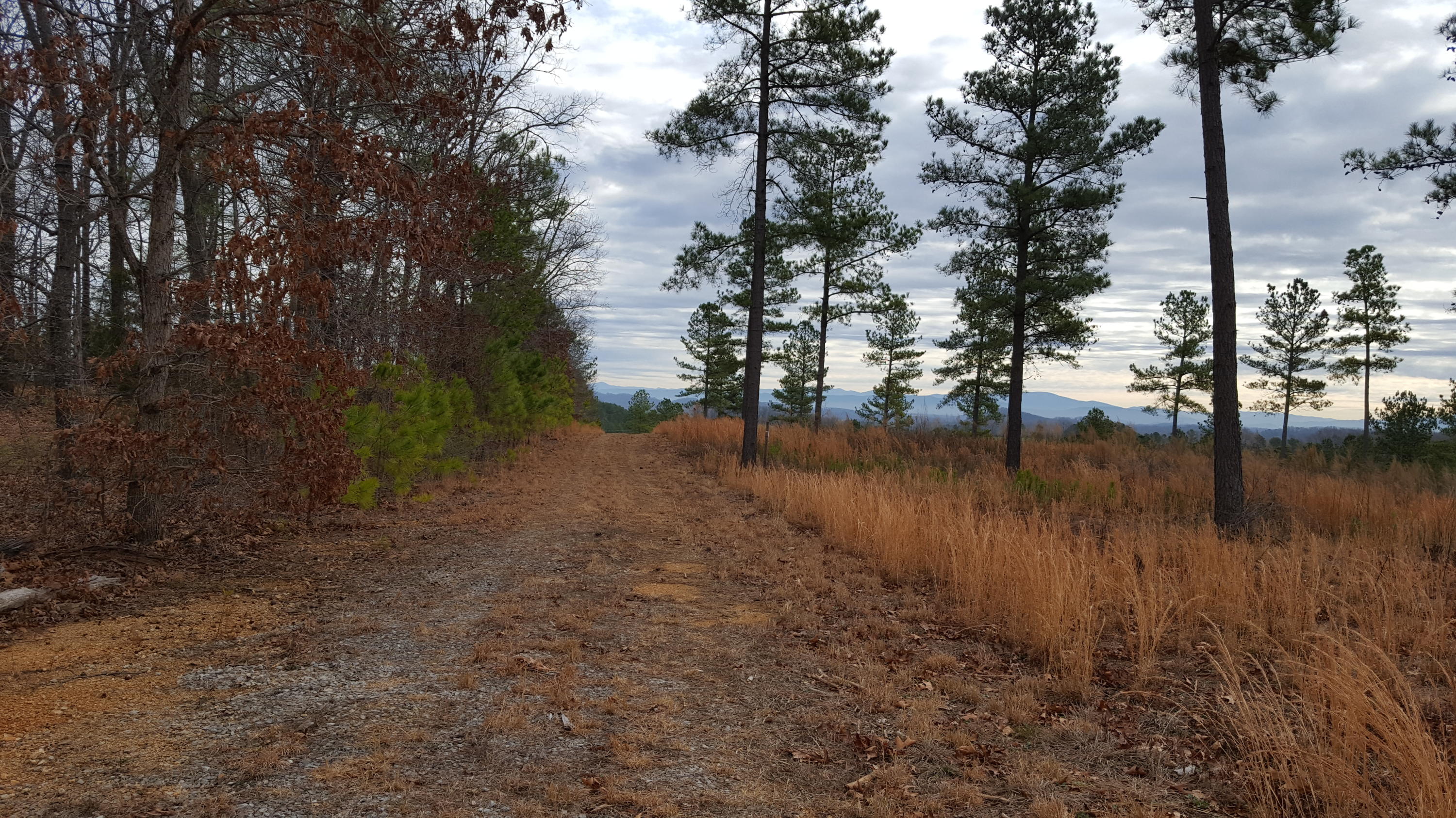 Lot 15 Ward Road Loudon, TN 37774 - Photo 3 of 17 20170214_103714