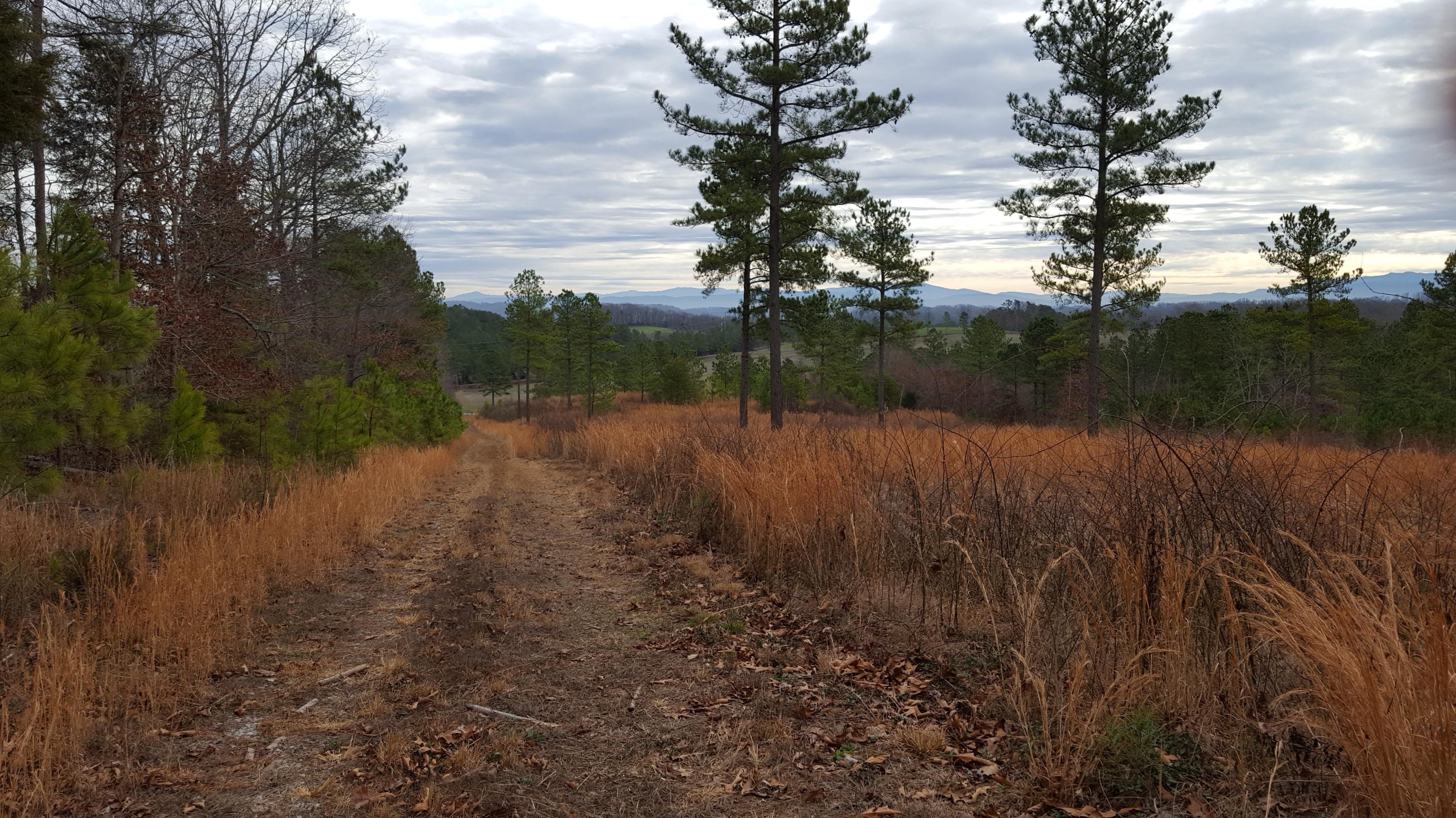 Lot 15 Ward Road Loudon, TN 37774 - Photo 8 of 17 20170214_103858