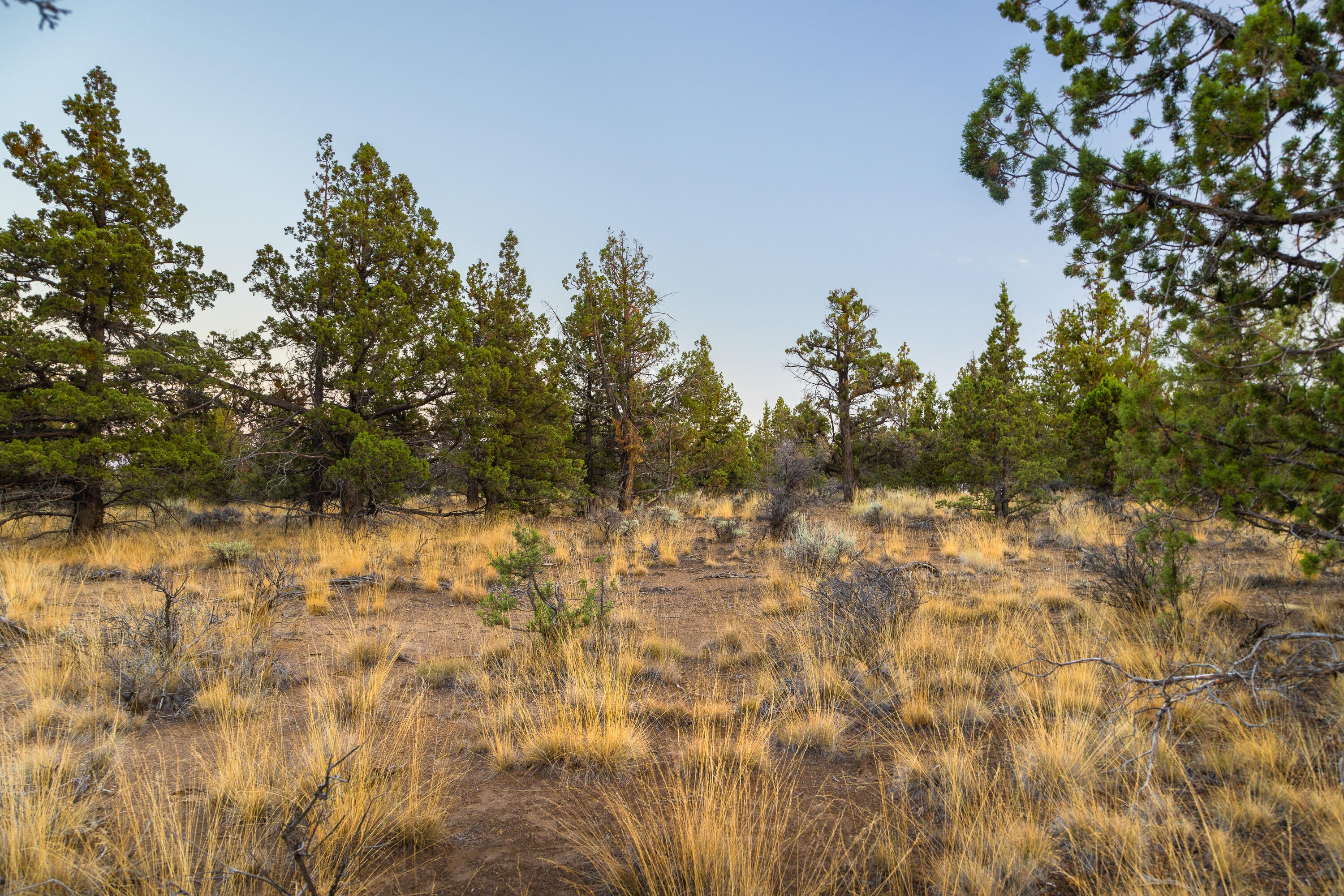 20005 Pacific Heights Rd Bend Bend, OR 97703 - Photo 9 of 19 14