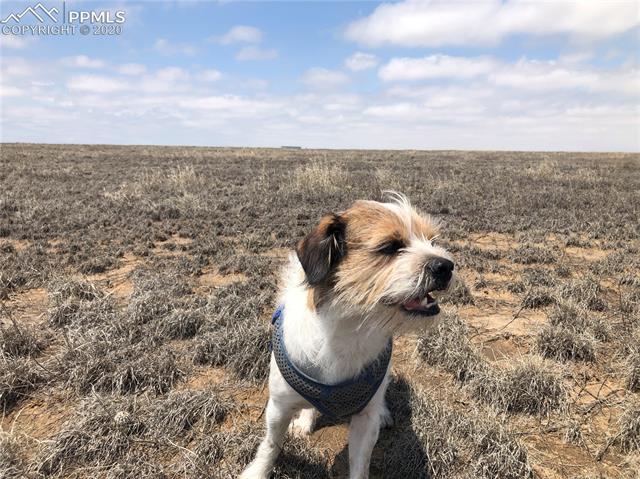 Tbd Tbd Unknown Road Rush, CO 80833 - Photo 2 of 25