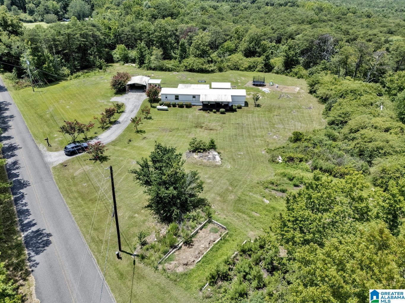 2101 Cliff Springs Road Oneonta, AL 35121 - Photo 3 of 42