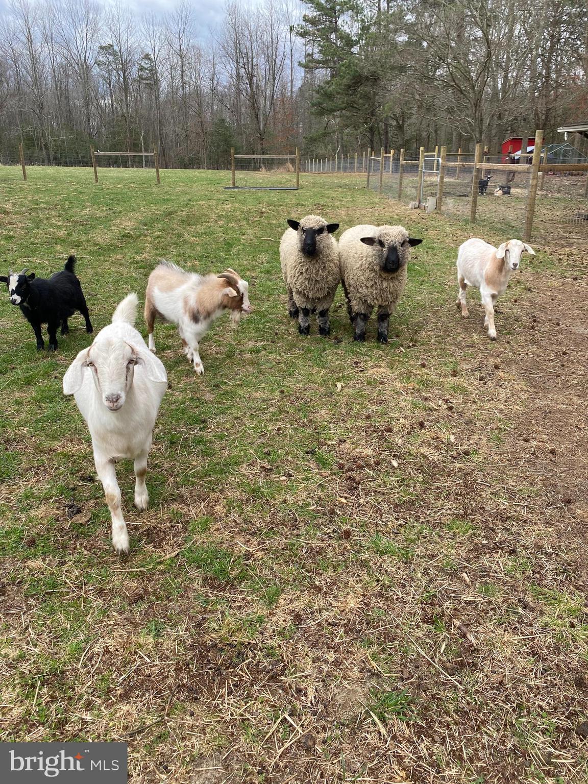 0 Angelow Road Berlin, NJ 08009 - Photo 4 of 11