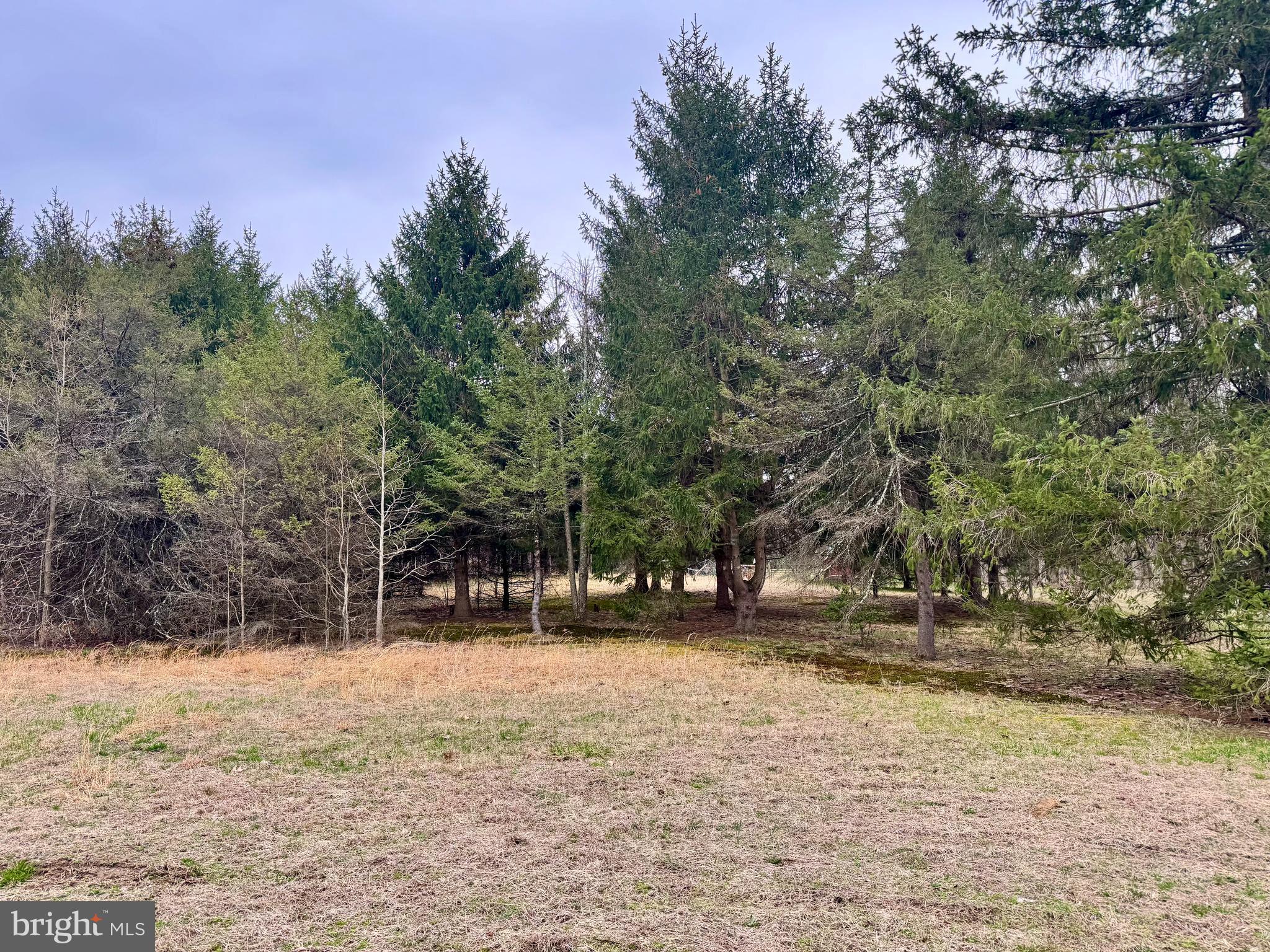 0 Angelow Road Berlin, NJ 08009 - Photo 8 of 11