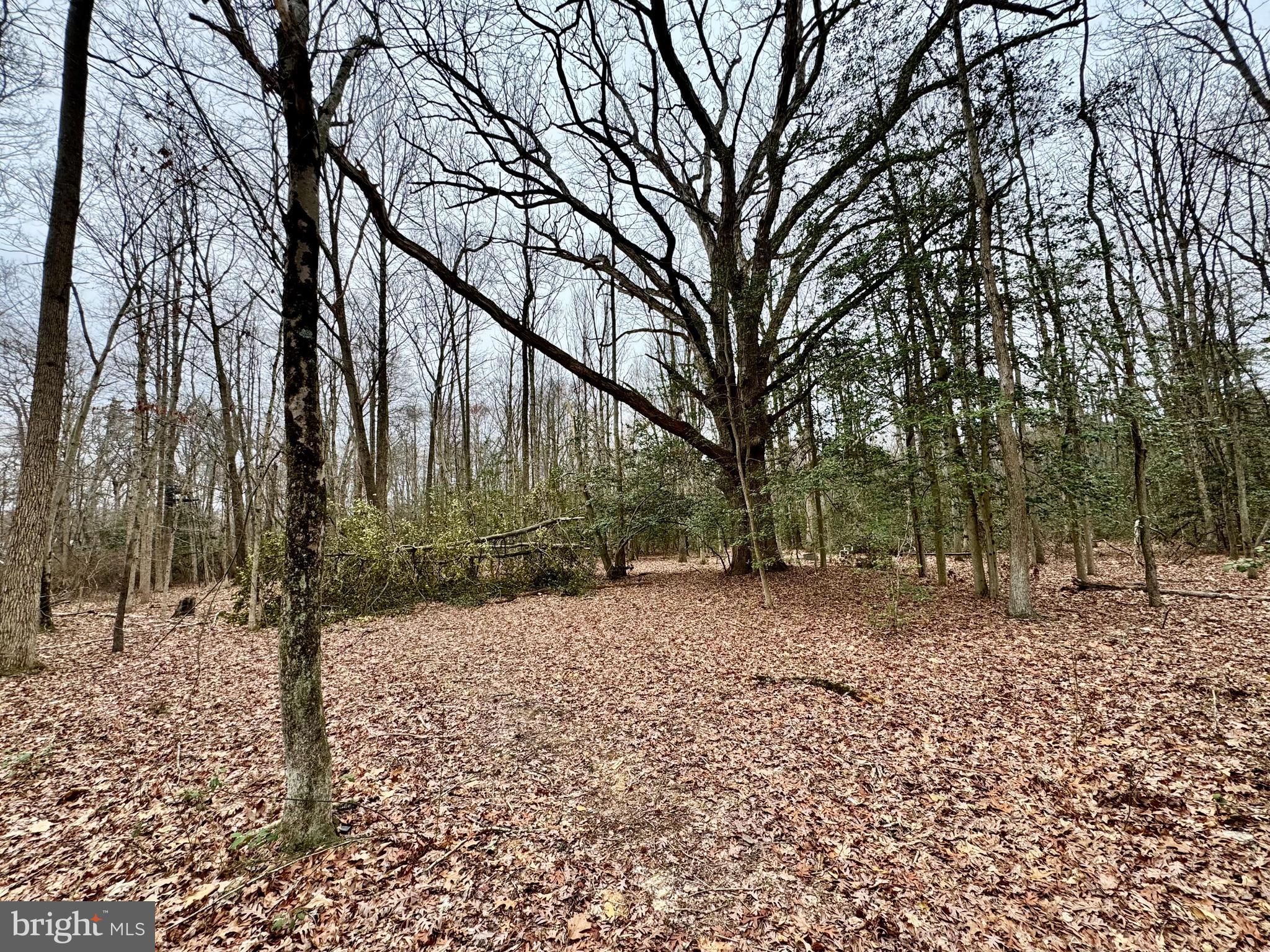 0 Angelow Road Berlin, NJ 08009 - Photo 9 of 11