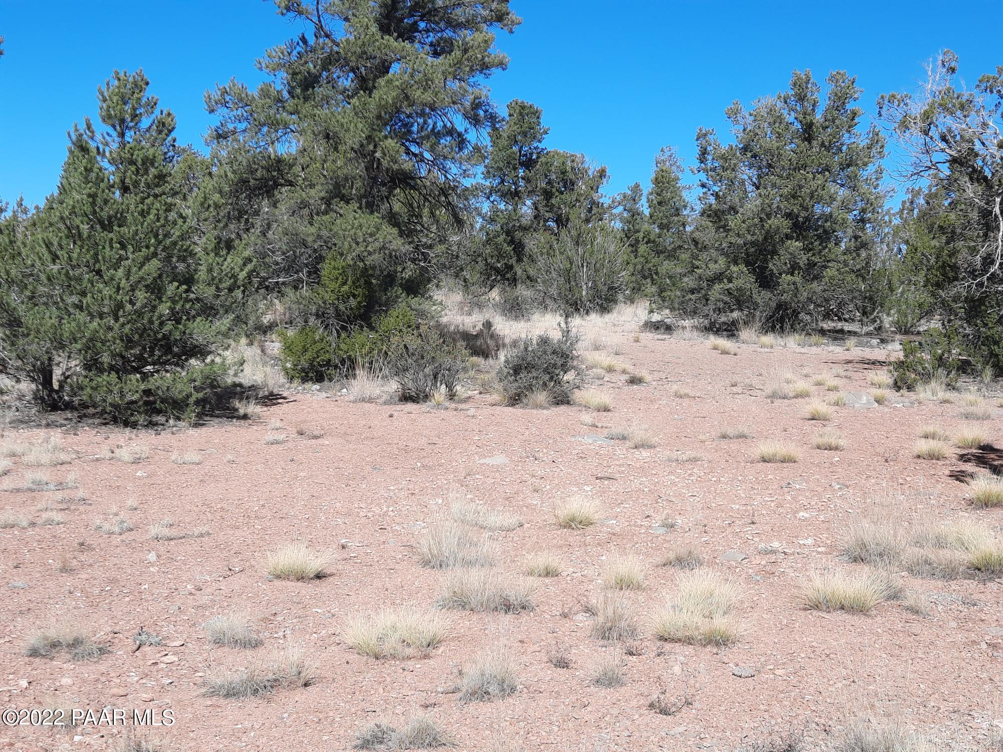 54595 Castano Road Seligman, AZ 86337 - Photo 11 of 14 20221112_114533