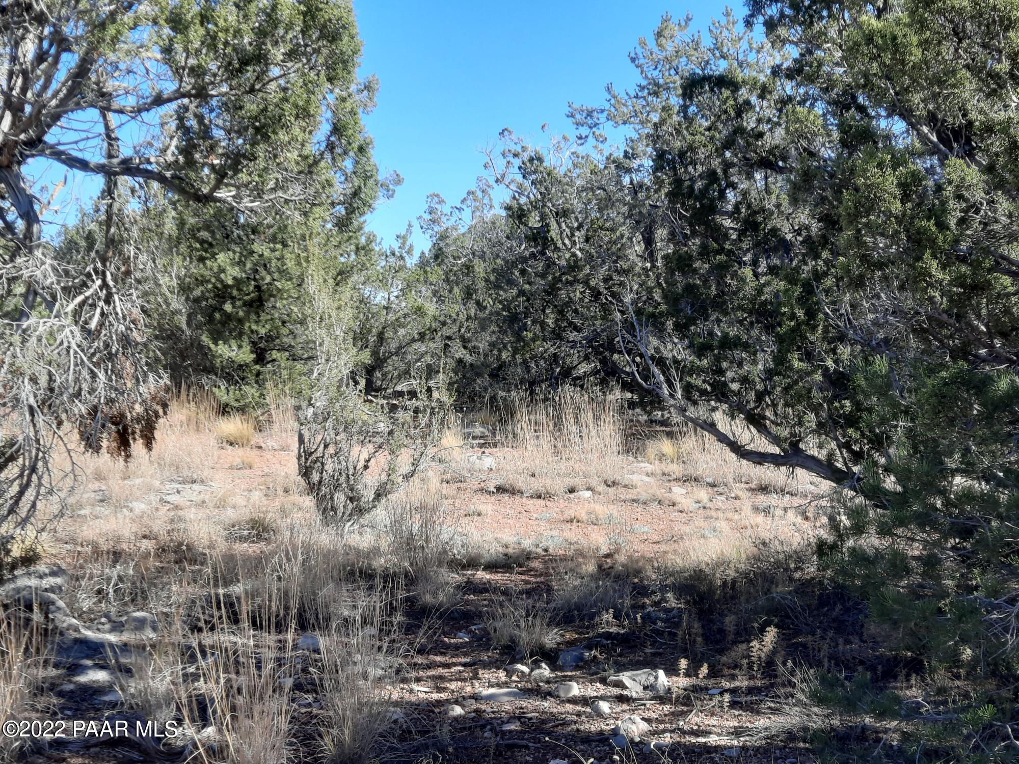 54595 Castano Road Seligman, AZ 86337 - Photo 12 of 14 20221112_114553