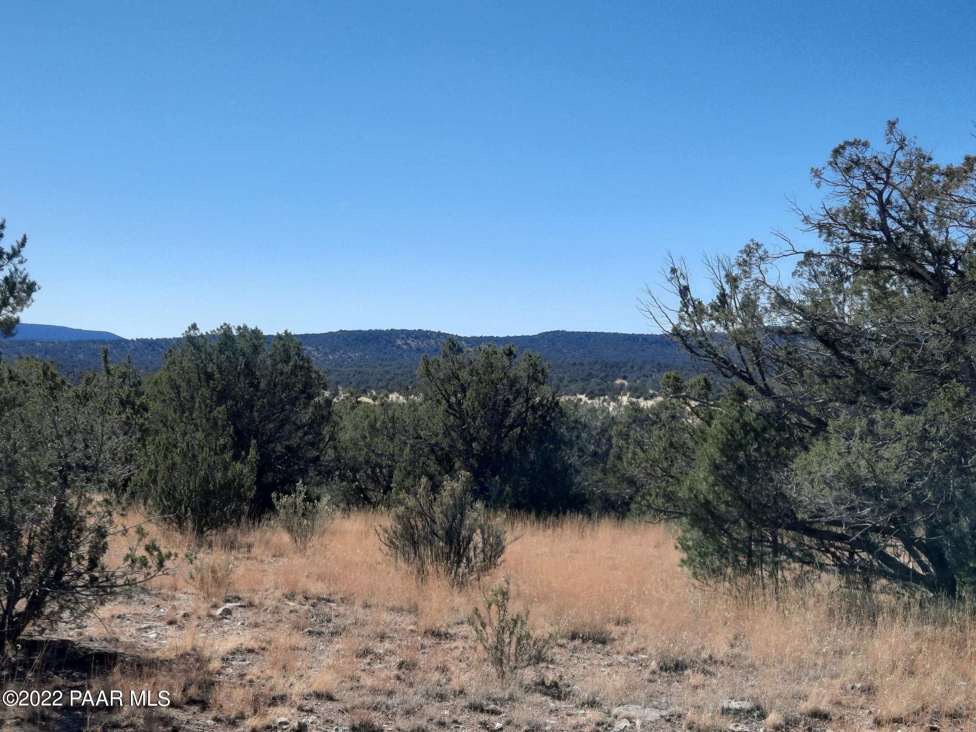 54595 Castano Road Seligman, AZ 86337 - Photo 13 of 14 20221112_115349