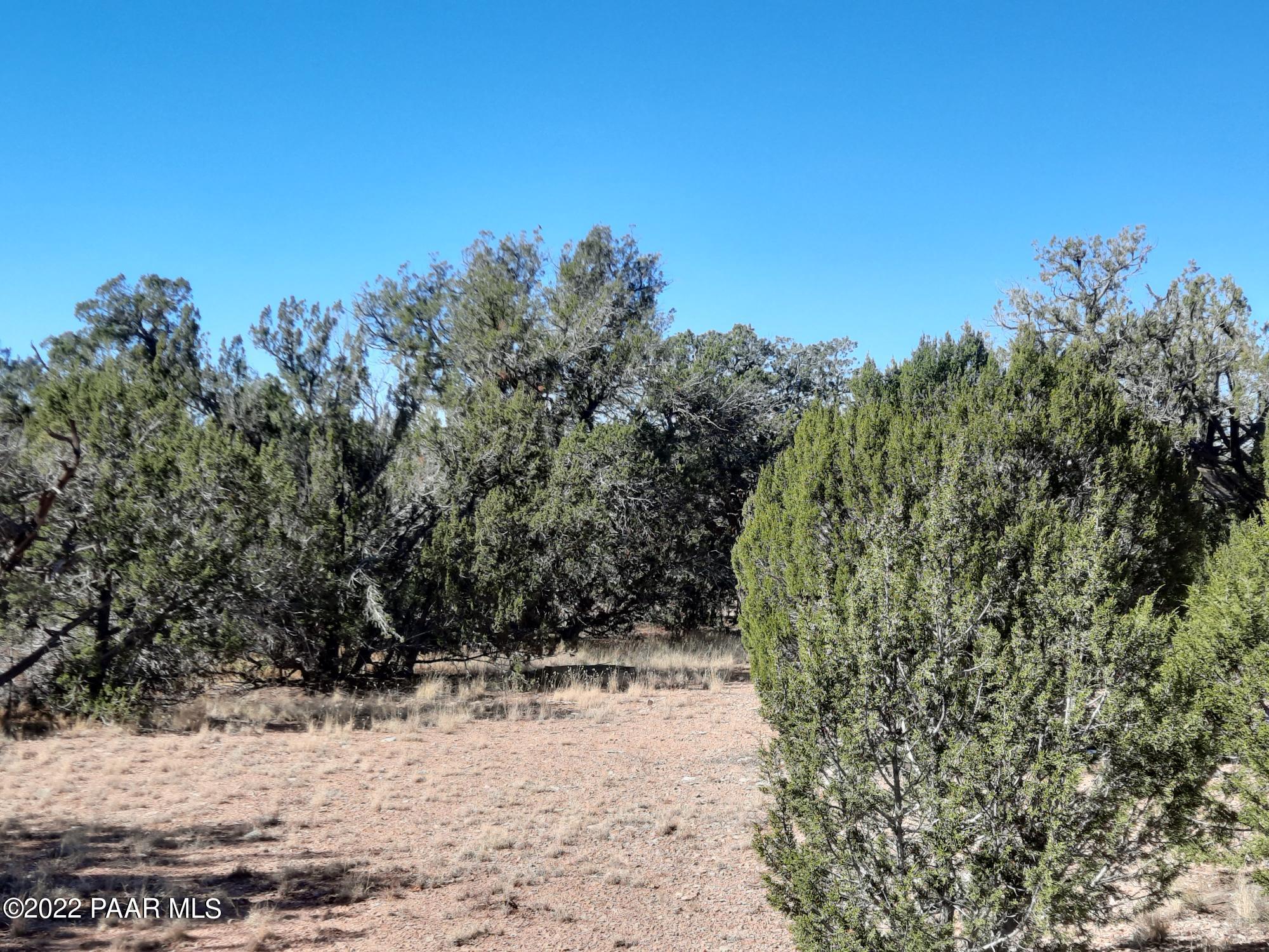 54595 Castano Road Seligman, AZ 86337 - Photo 8 of 14 20221112_114222
