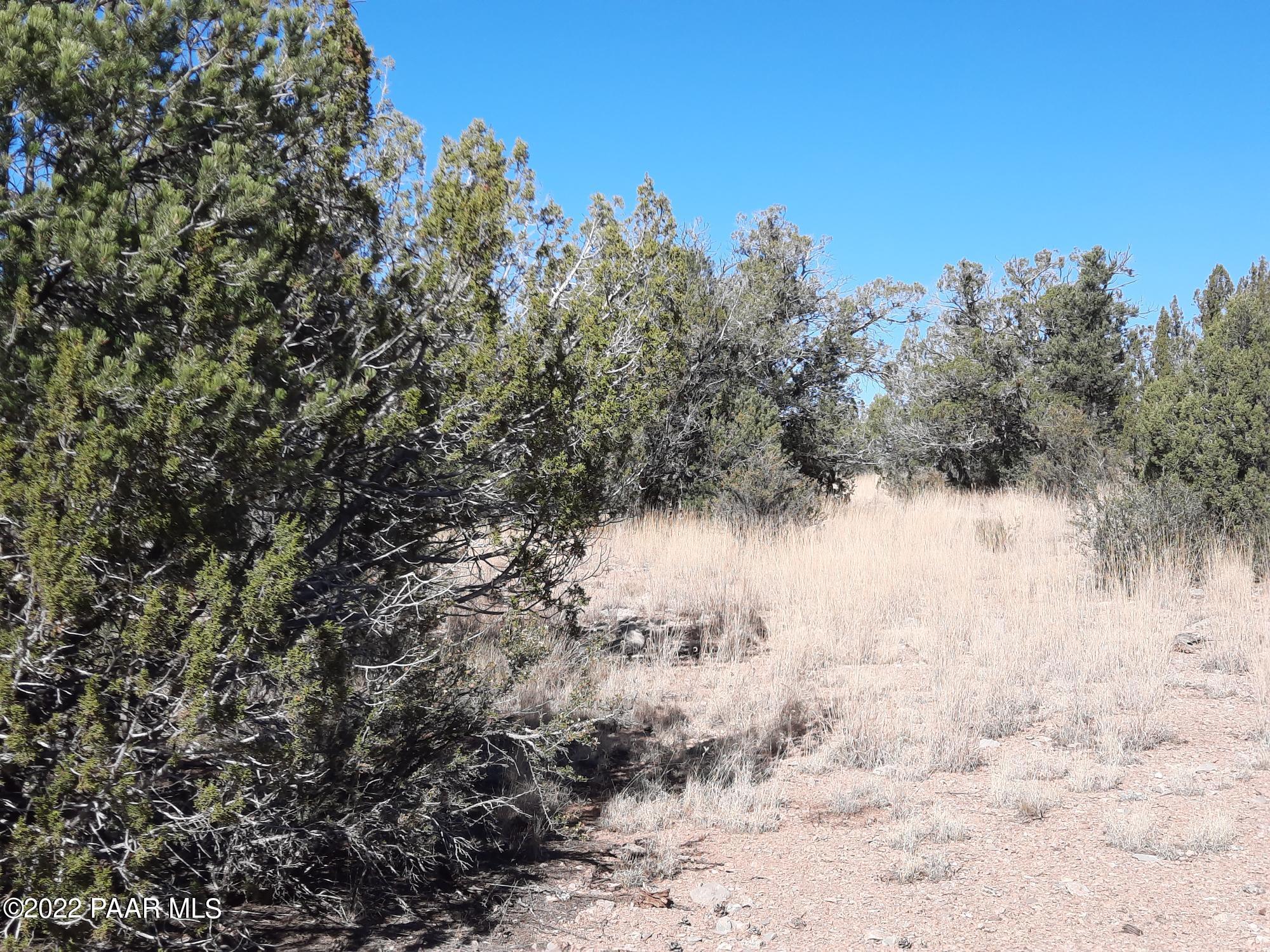 54595 Castano Road Seligman, AZ 86337 - Photo 9 of 14 20221112_114355