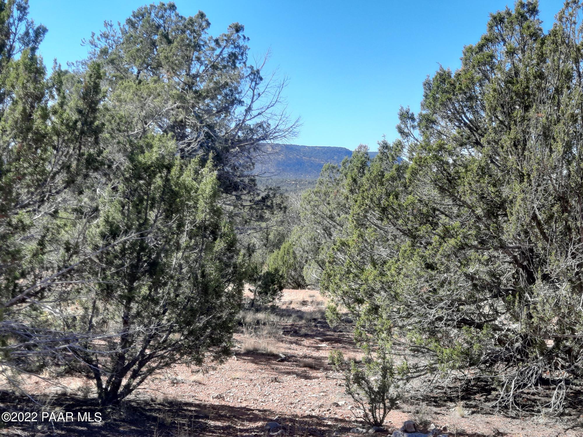 54595 Castano Road Seligman, AZ 86337 - Photo 10 of 14 20221112_114529
