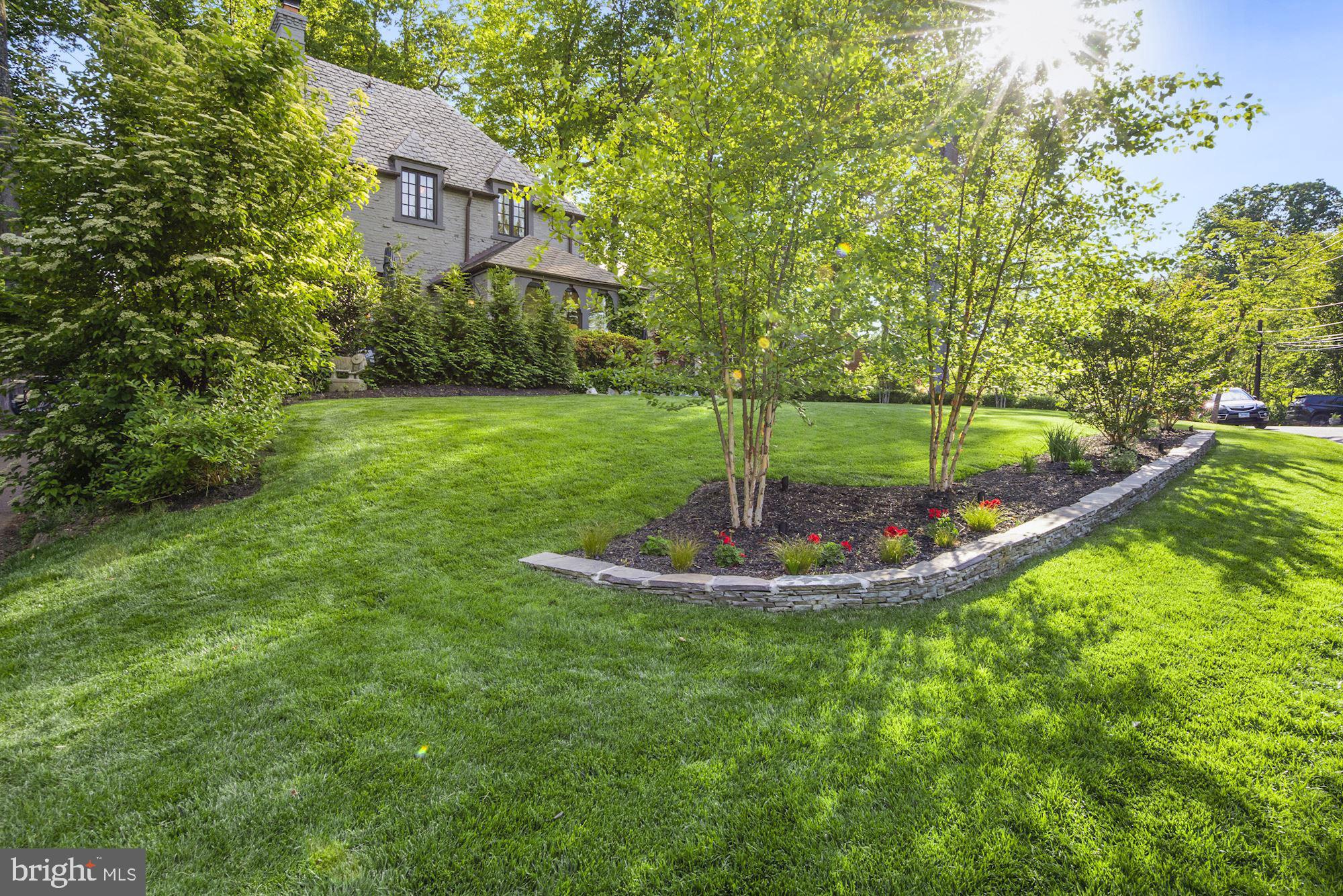 3110 Rolling Road Chevy Chase, MD 20815 - Photo 5 of 46 Grove Of Birch Trees + Stacked Stone Planter Wall