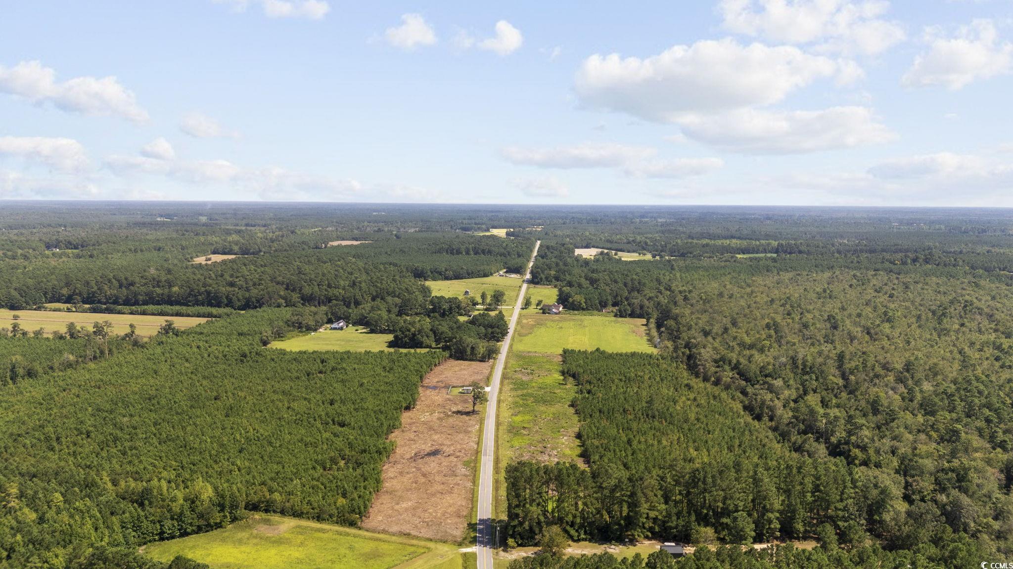 Lot 8 Black Creek Road Nichols, SC 29581 - Photo 8 of 19 Gallery Image 8