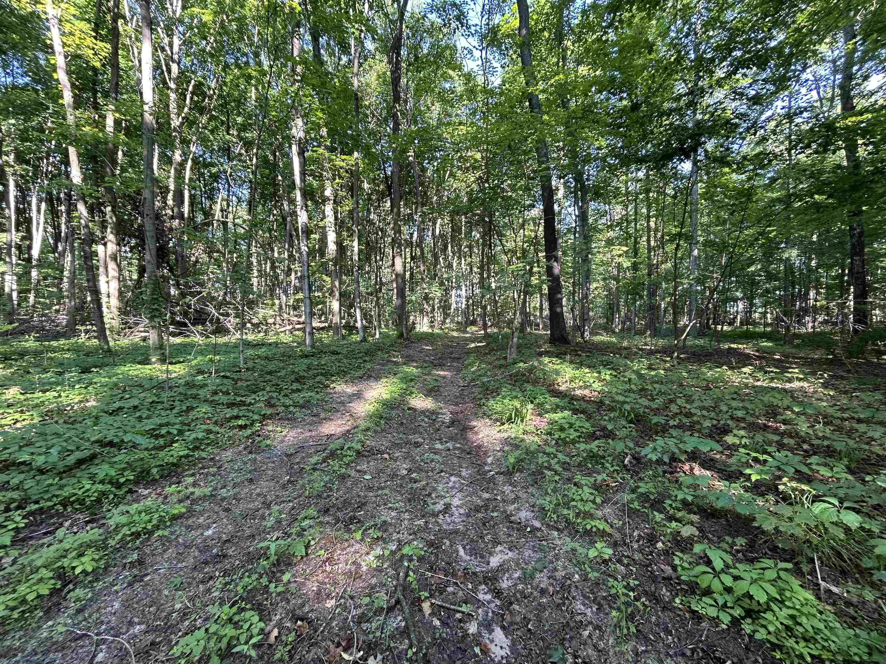 1010 Sharkey Road Traverse City, MI 49696 - Photo 6 of 17 Gallery Image 6