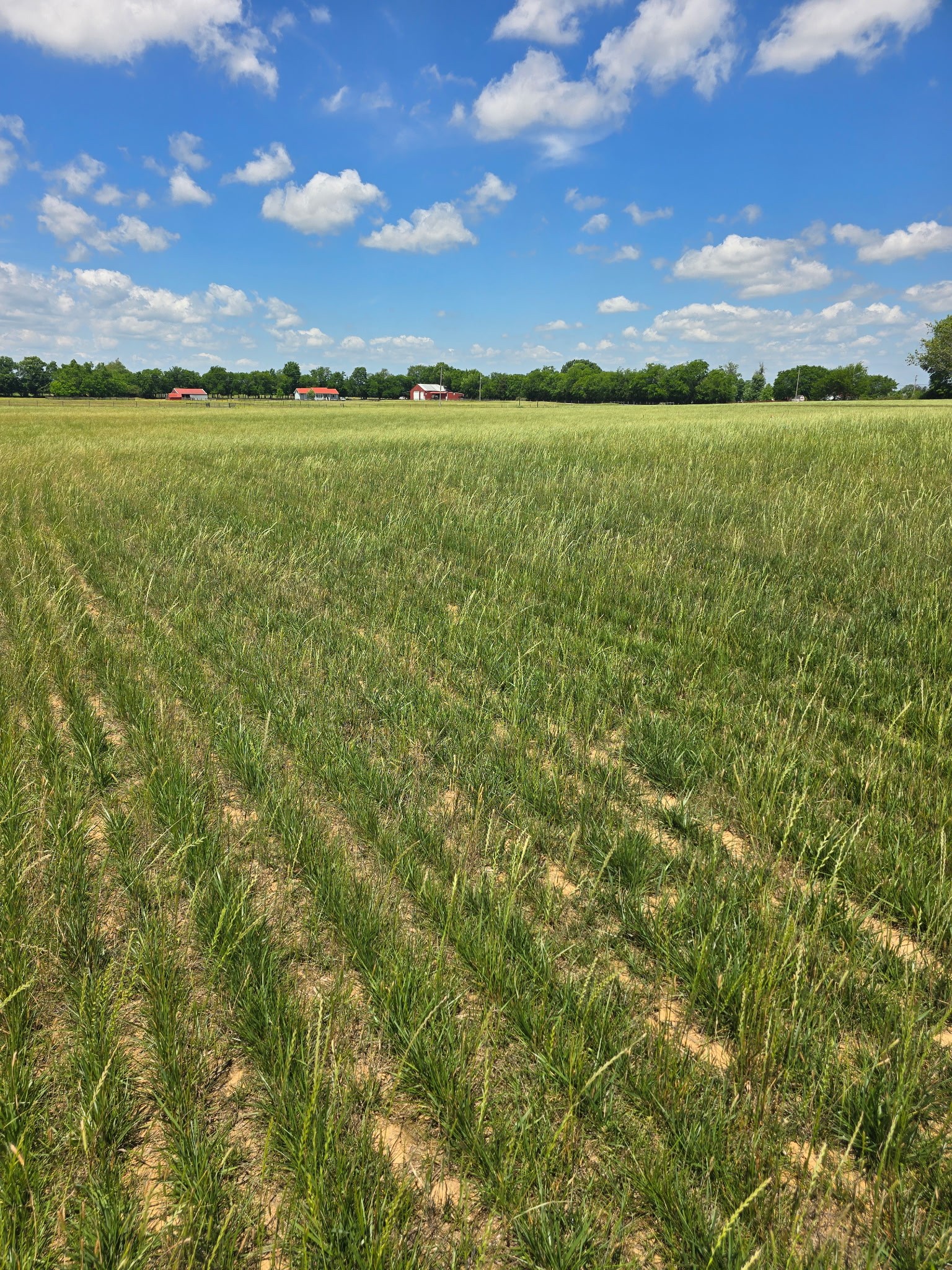 0 Shoemaker Road Eagleville, TN 37060 - Photo 7 of 17