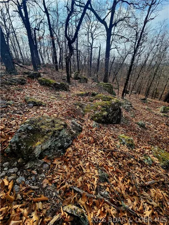 $77,745 | Lot 6 State J Road, Camdenton, MO 65020