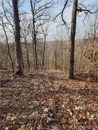 $77,745 | Lot 6 State J Road, Camdenton, MO 65020
