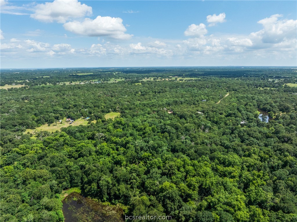 Tbd Weber Road Bryan, TX 77808 - Photo 32 of 43