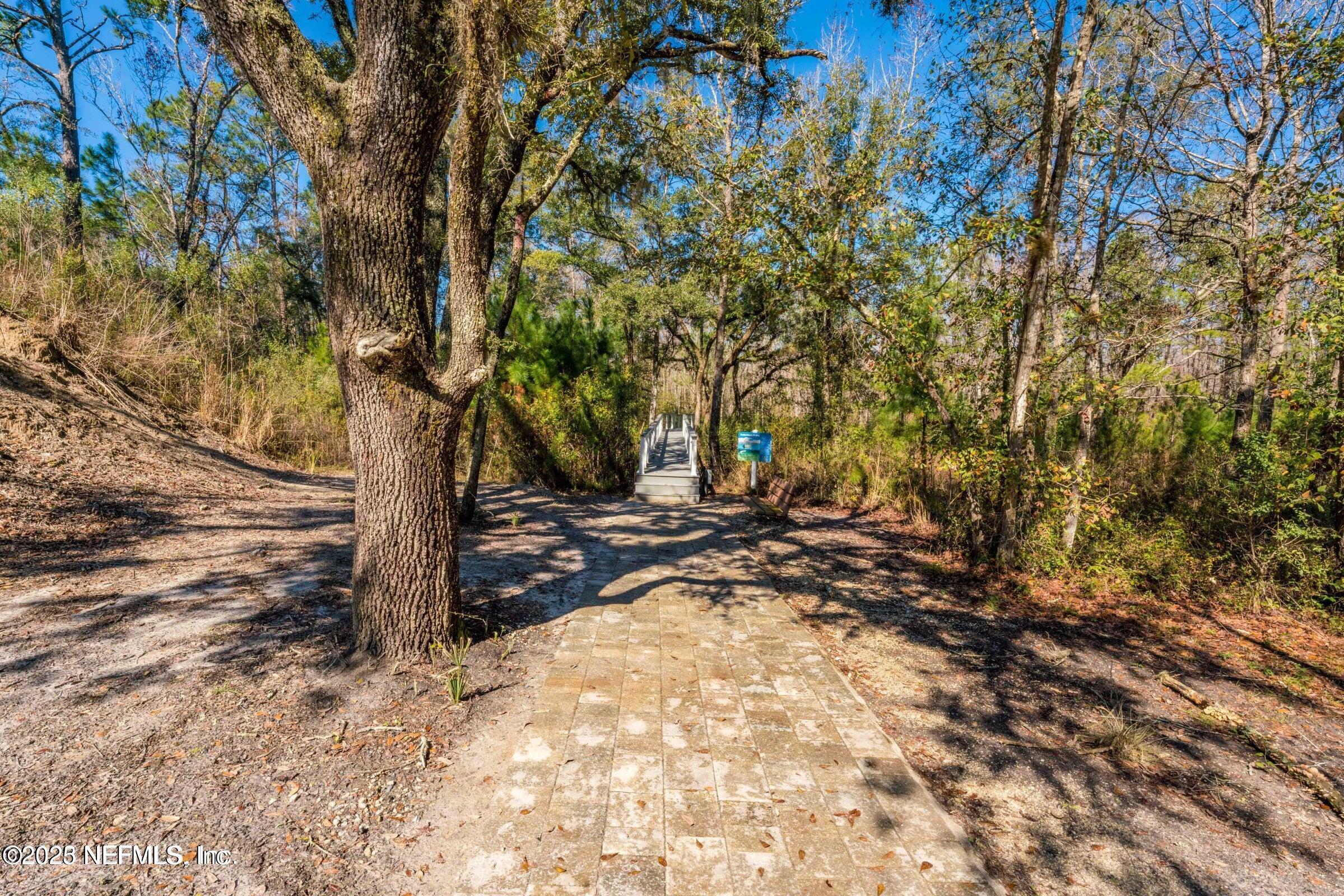 3060 Free Bird Loop Green Cove Springs, FL 32043 - Photo 73 of 94 a view of a tree in the middle of a yard
