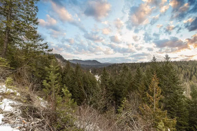 $375,000 | Lot 4 Highway 57 Priest River, Priest River, ID 83856