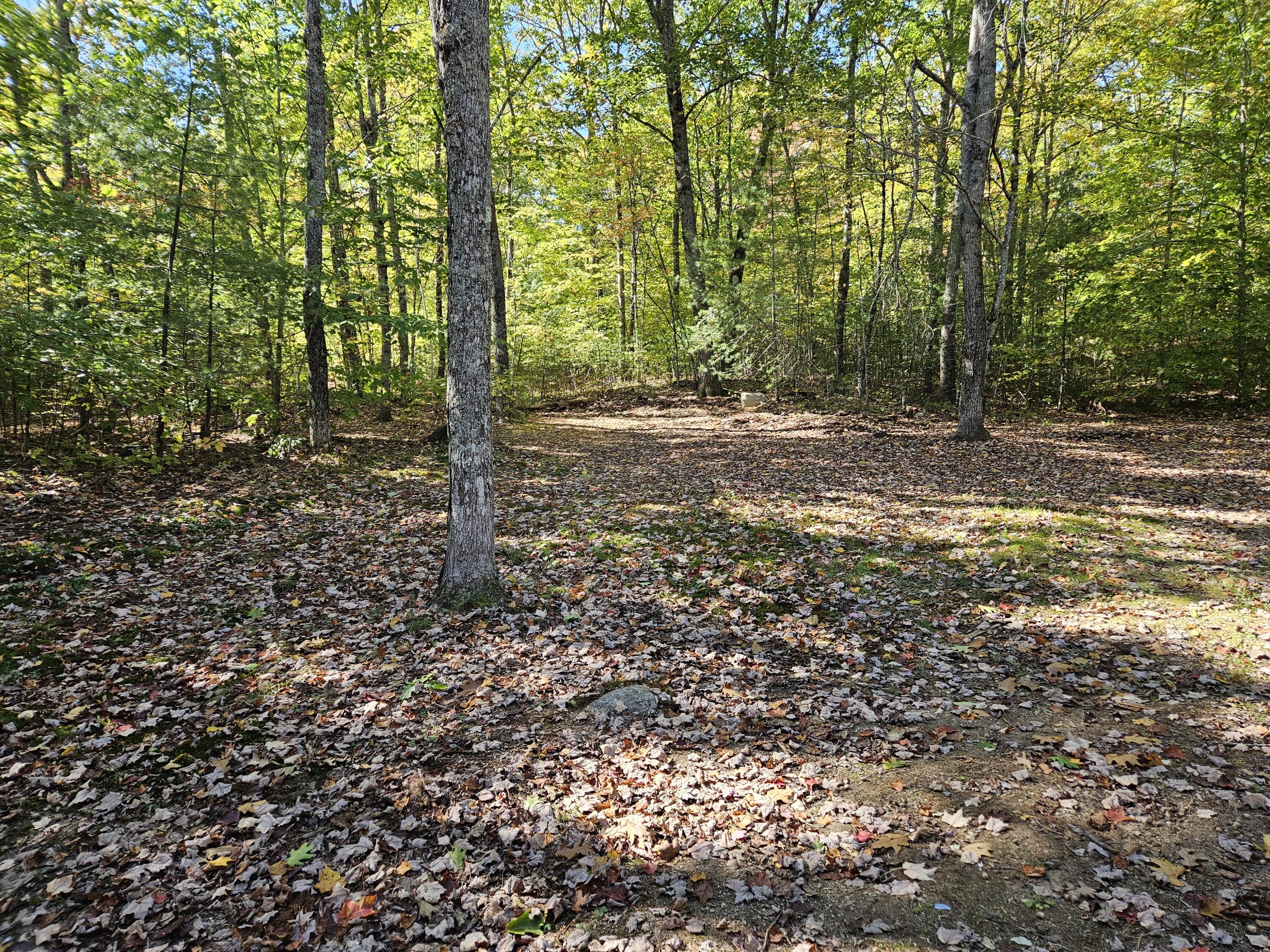 95 Rabbit Valley Road Oxford, ME 04270 - Photo 13 of 15 20241011_120436