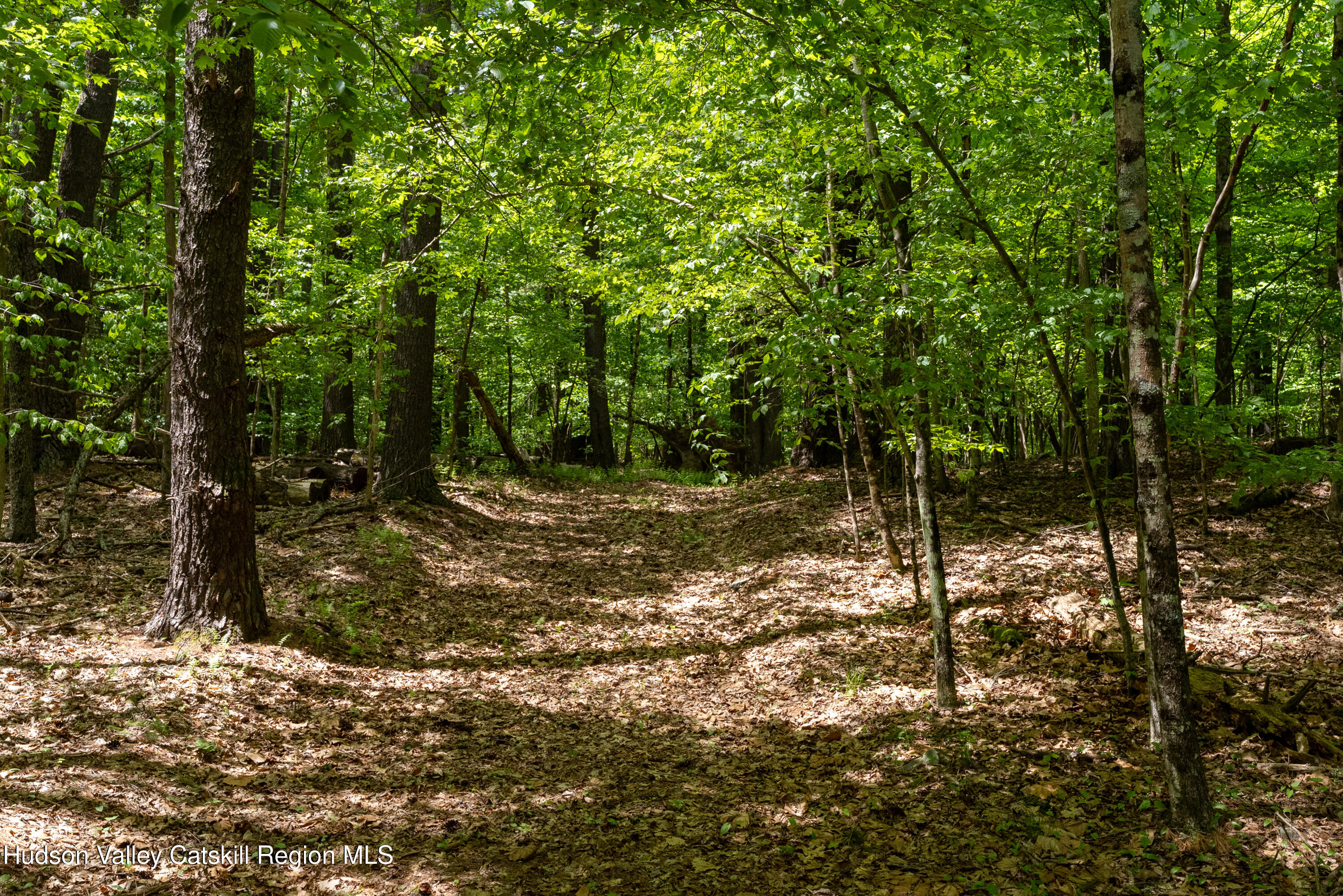 214 Doman Road Freehold, NY 12431 - Photo 50 of 54 103-print-214-doman-rd