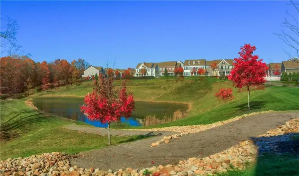 a view of a flowers in front of a house