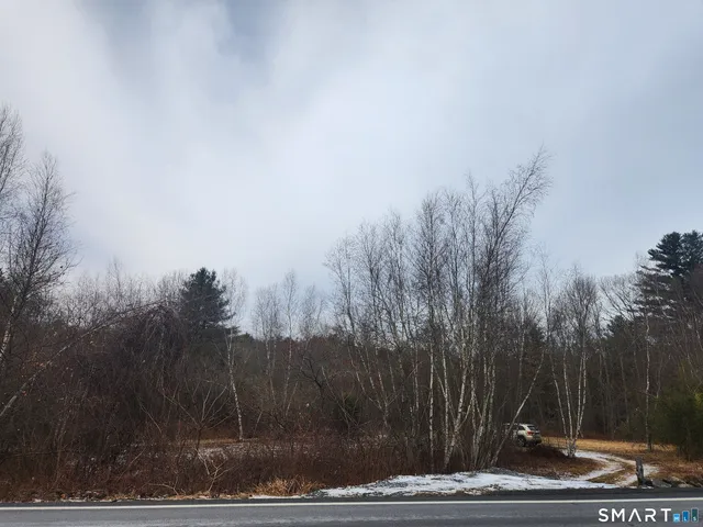 a view of a yard with large trees