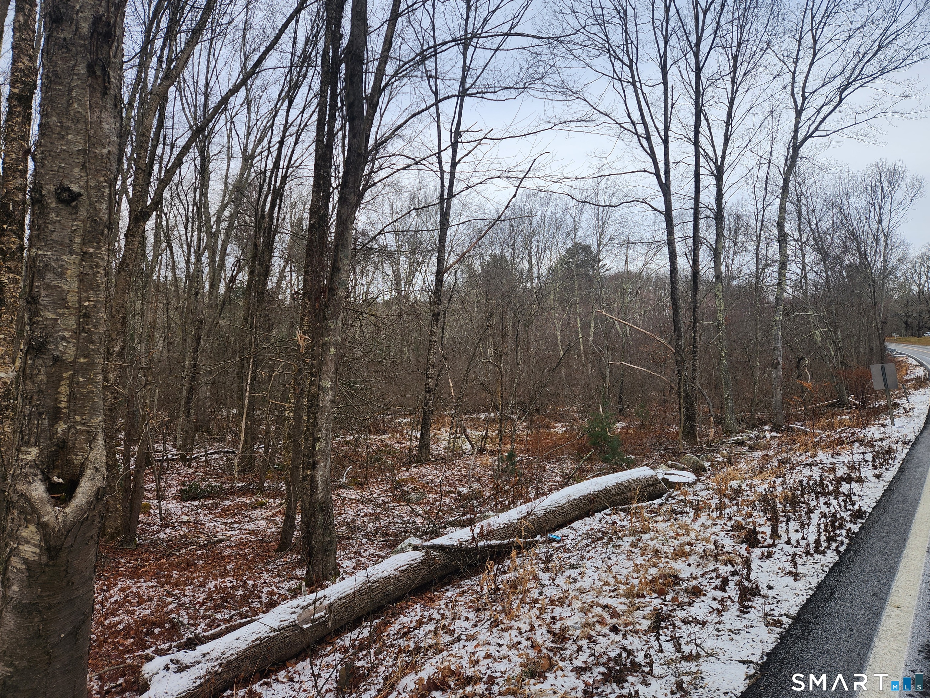 Lyon Hill Road Woodstock, CT 06281 - Photo 15 of 22