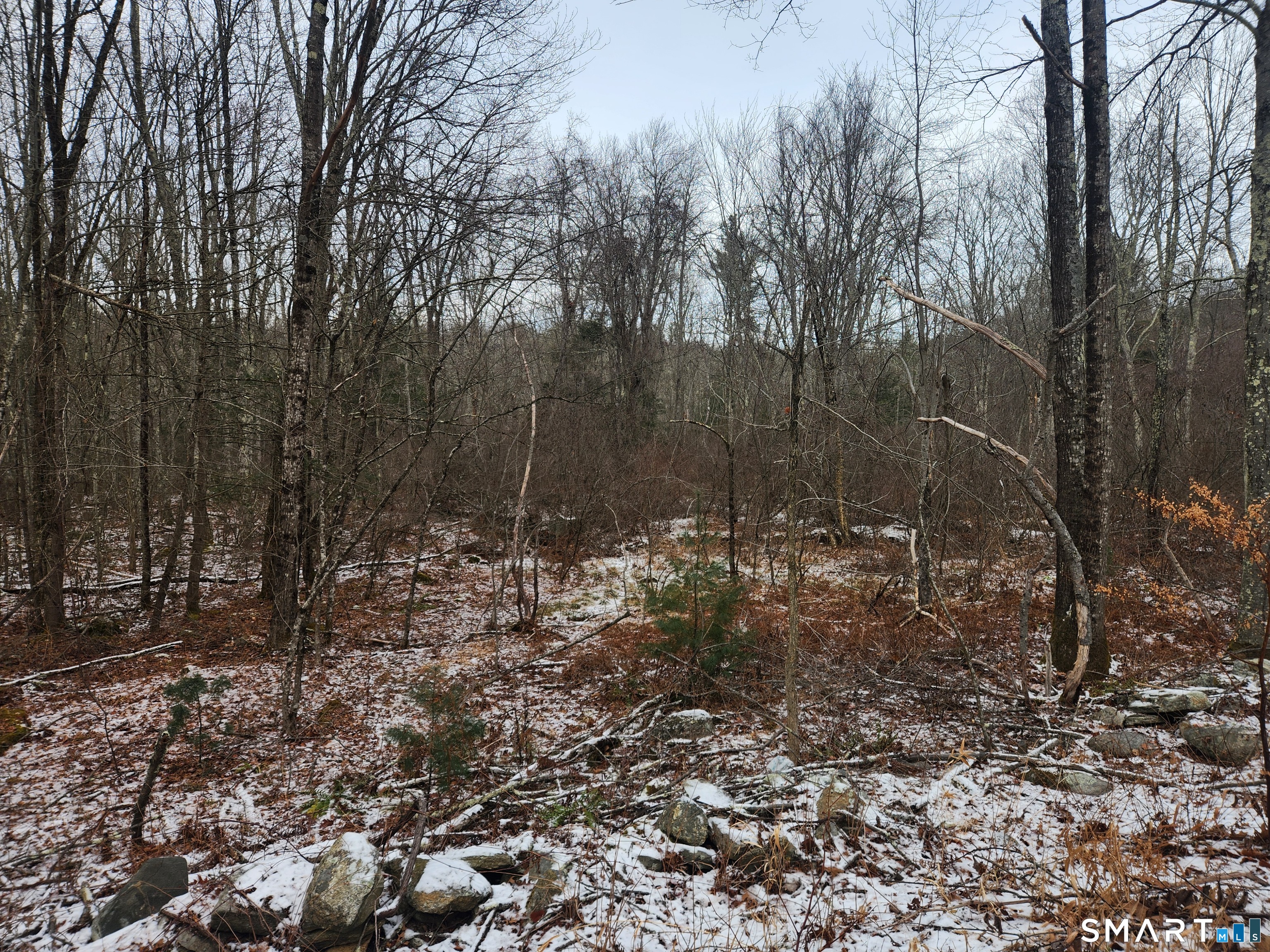 Lyon Hill Road Woodstock, CT 06281 - Photo 19 of 22